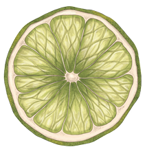2-dried-lemon