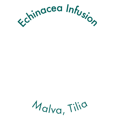 echinacea